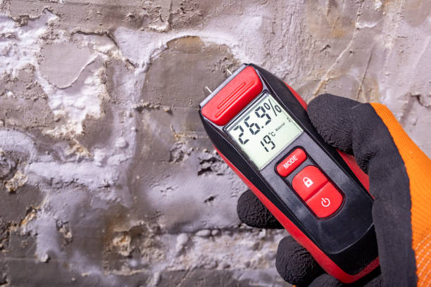 Best Toxic Mold Removal  in Burlington, IA