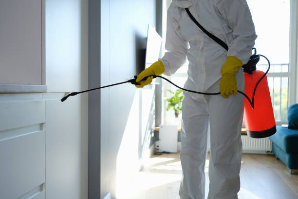 Best Mold Testing  in Burlington, IA