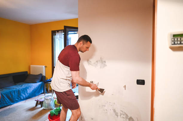 Best Best Mold Removal Companies  in Burlington, IA